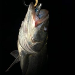 まあまあサイズ