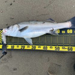 満足な釣行でした。