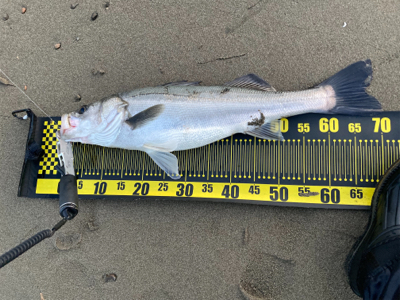 満足な釣行でした。