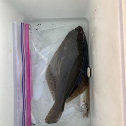 久々の湘南サーフ