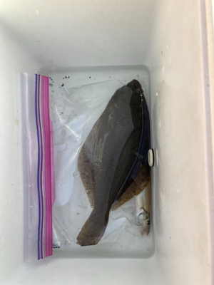 久々の湘南サーフ