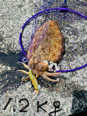 嫁と仲良く釣り旅行。