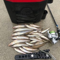 爆風の中ちょい投げ！？