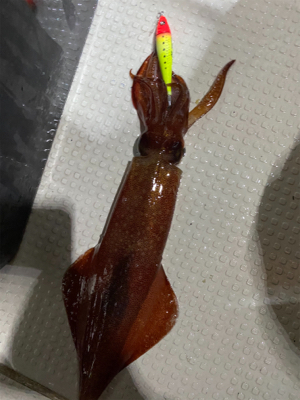 大剣狙いイカメタル