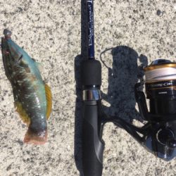 GW淡路島釣行❗️