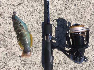 GW淡路島釣行❗️