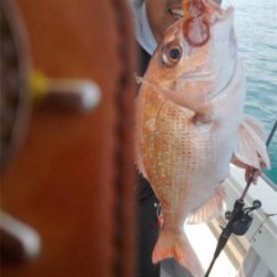 ボウズからの脱出