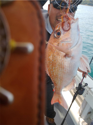 ボウズからの脱出