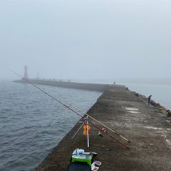 カレイ、キス、五目釣り