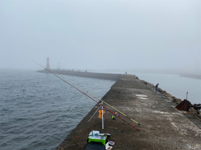 カレイ、キス、五目釣り