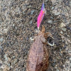 GW初日のリベンジマッチ!