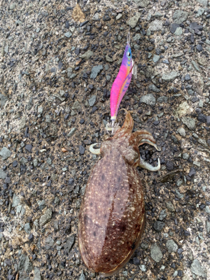 GW初日のリベンジマッチ!