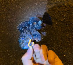 試し投げ釣行。