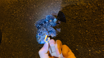 試し投げ釣行。