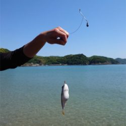 ライト投げ釣り
