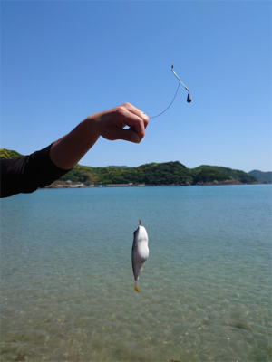 ライト投げ釣り