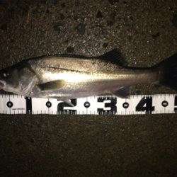 小場所のボイル打ち‼️