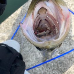 マイクロパターン