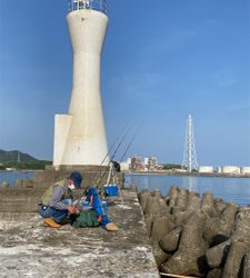 久しぶりの白灯で、キス釣り
