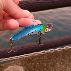 鉄板バイブでスズキ68cm