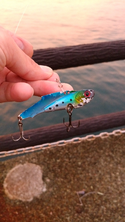 鉄板バイブでスズキ68cm