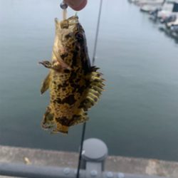 久しぶりの海〜