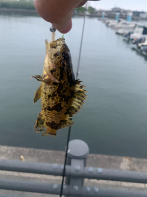 久しぶりの海〜