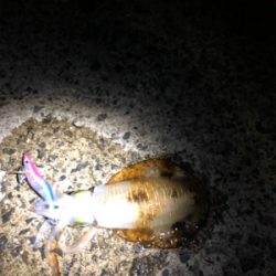 仕事終わりに・・・