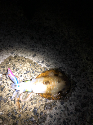 仕事終わりに・・・