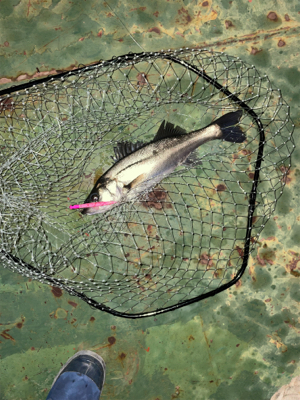 いいタイミング