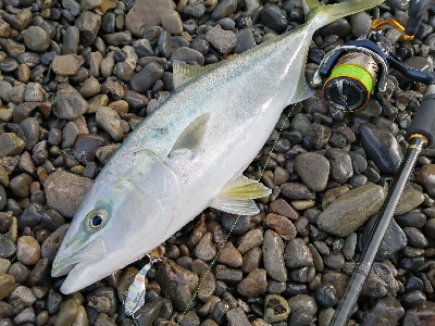 マイクロブレードにガツン！