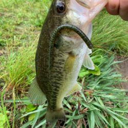 母の日釣行で1匹！