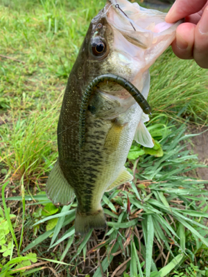 母の日釣行で1匹！