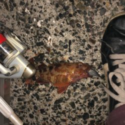 初めて行きました