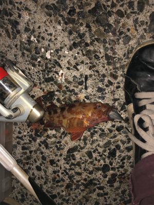 初めて行きました