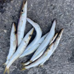 数が上がらない