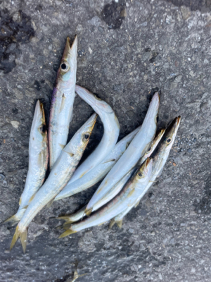 数が上がらない