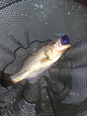 色々なルアーで