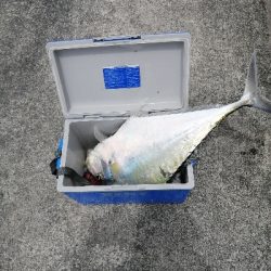 この大きさの馬面久しぶりに見た(笑)