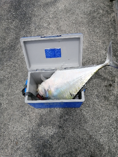 この大きさの馬面久しぶりに見た(笑)