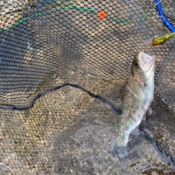 黒保根渓流フィッシング