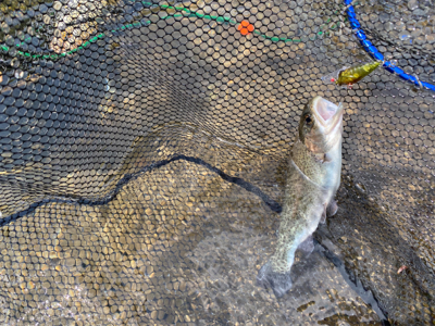 黒保根渓流フィッシング