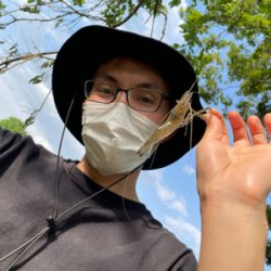 荒川　テナガエビ