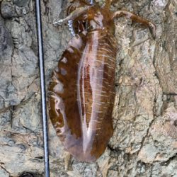 日本海の荒波を乗り越えて