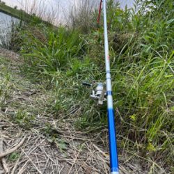 ちょっと早めのウサギ釣り