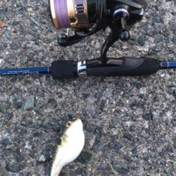 サンセット釣行❗️