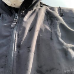 連日のエギング