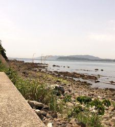 エギングでまさかの…