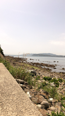 エギングでまさかの…