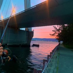 水面が騒がしくなる時にセイゴ釣れました。